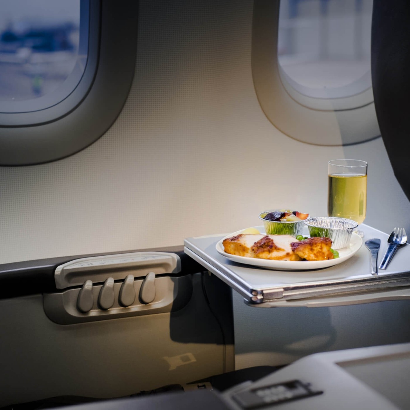 In-Flight Catering | Catrion